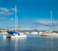 Boats on Noosa River