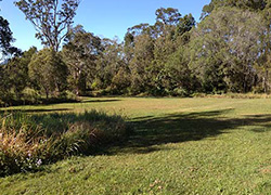 Carruthers Natural Amenity Reserve, Carruthers Court, Cooroy