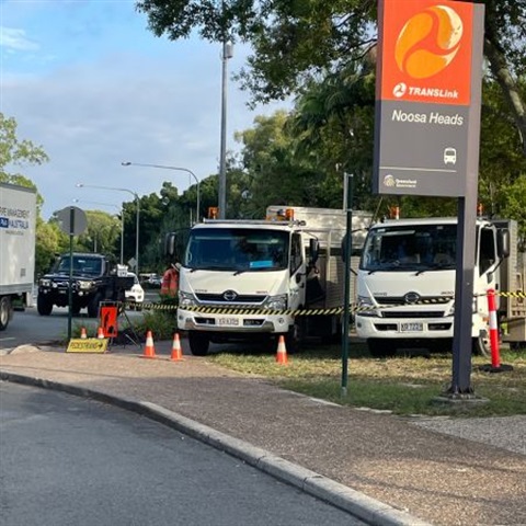 Picture of Noosa Council staff working