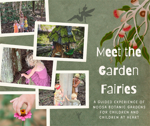collages of fairies photos