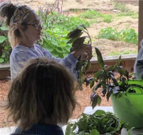 PEOPLE GARDENING