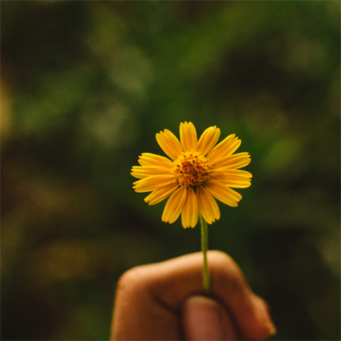 Living Well pics only no text 600x600px (12).png