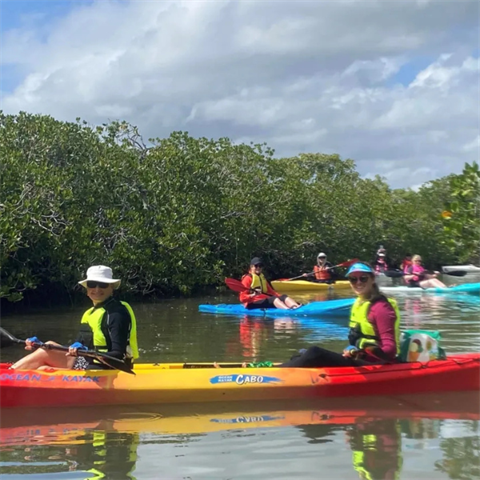 image of people kayaking on noosa riverways