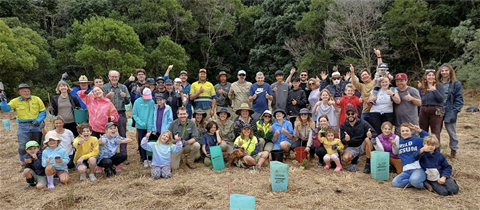 TreePlanting_NC-1536x671.png