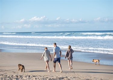 Picture of people and dogs on the beach