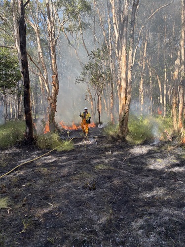 Noosa-Council-Fire-Management.jpg