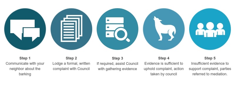 barking dog steps infographic
