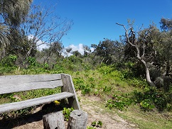 Vegetation damage framed by dying vegetation