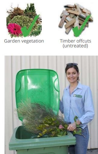What can go in the garden waste bin?