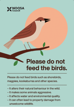 Please do not feed the birds flyer