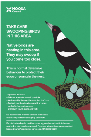 Swooping birds in this area flyer