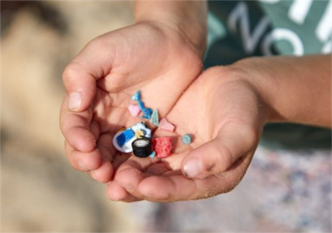 Plastic free noosa Photo credit: Plastic Free Noosa