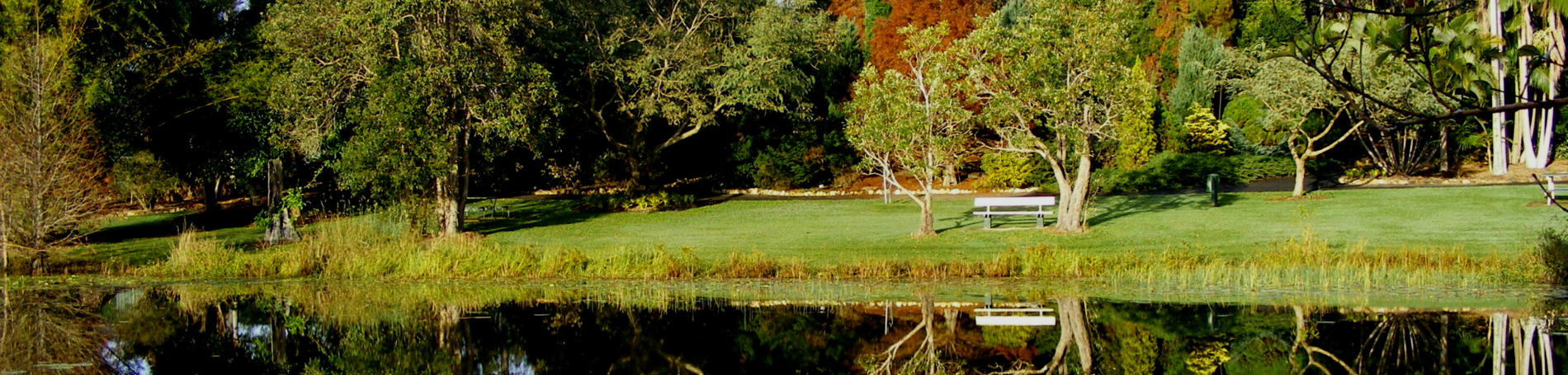 Botanic Gardens slide
