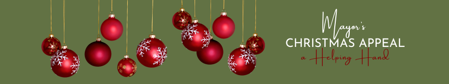Mayor Xmas appeal inner page banner.png