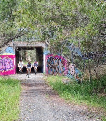 Weyba trail