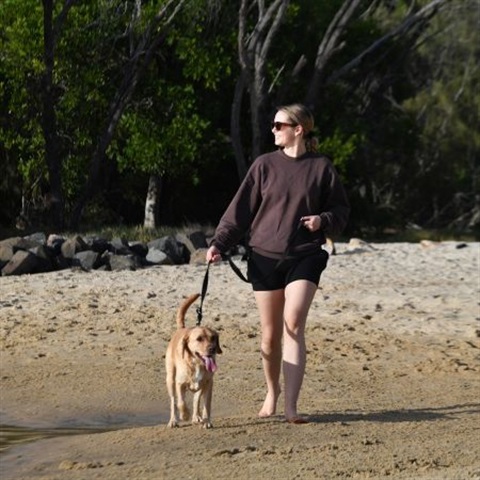 Ellen and dog Harry visit the newly restored Doggy Beach at Noosa Spit