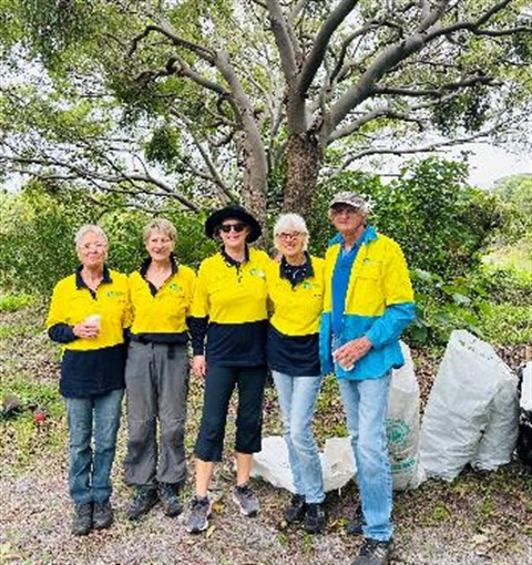 Castaways North bushcare