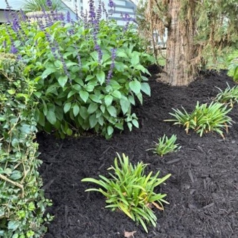 450x450 web images  (28).jpg