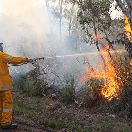 Picture for media release about the new Bushland Reserve Strategic Fire Management Plan