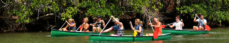Inner page banner kayaking placemaking