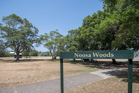 Noosa Woods