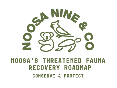 Noosa nine and co logo