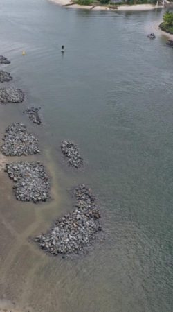 Drone view oysters