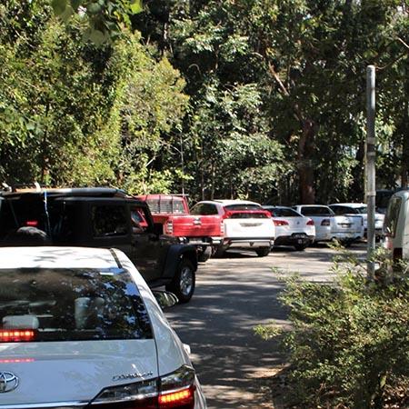 Picture of Noosa Woods carpark